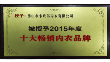 2015年度十大暢銷內衣品牌